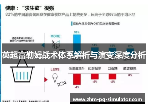 英超富勒姆战术体系解析与演变深度分析 英超富勒姆战术体系解析与演变深度分析