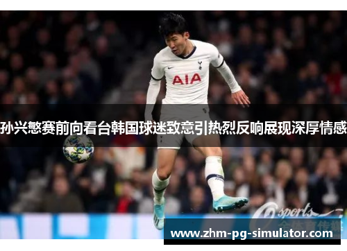 孙兴慜赛前向看台韩国球迷致意引热烈反响展现深厚情感