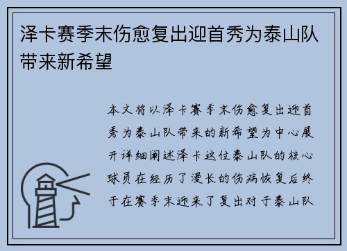 泽卡赛季末伤愈复出迎首秀为泰山队带来新希望 泽卡赛季末伤愈复出迎首秀为泰山队带来新希望