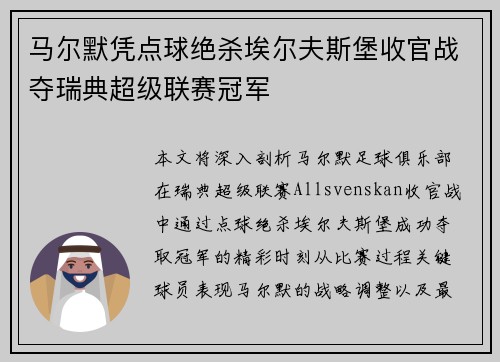 马尔默凭点球绝杀埃尔夫斯堡收官战夺瑞典超级联赛冠军