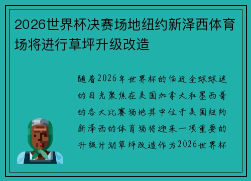 2026世界杯决赛场地纽约新泽西体育场将进行草坪升级改造